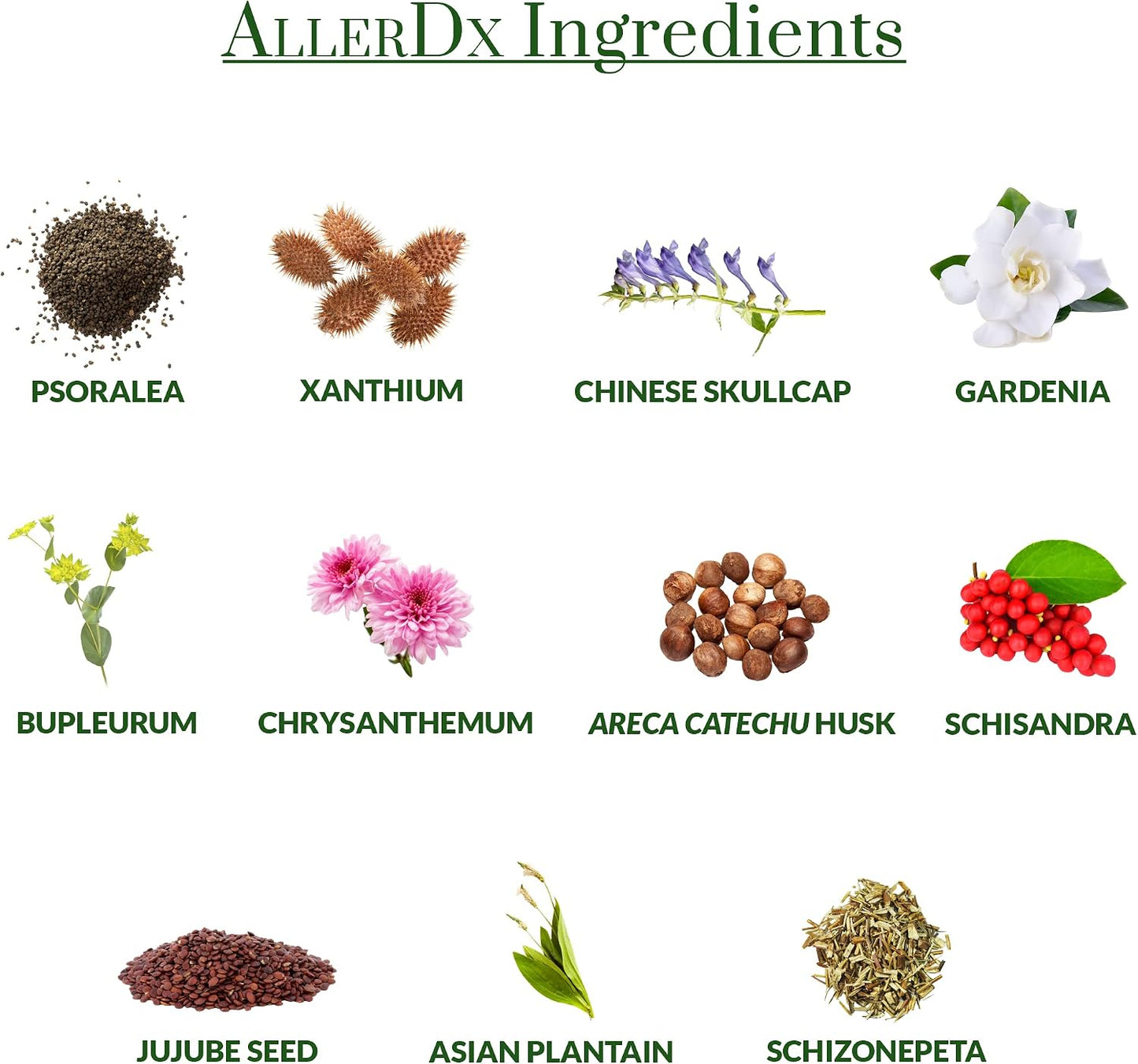 AllerDx Natural Herbal Seasonal Support Supplement - Non-Drowsy, Stimulant Free, Fast-Acting Respiratory Support - 60 Capsules