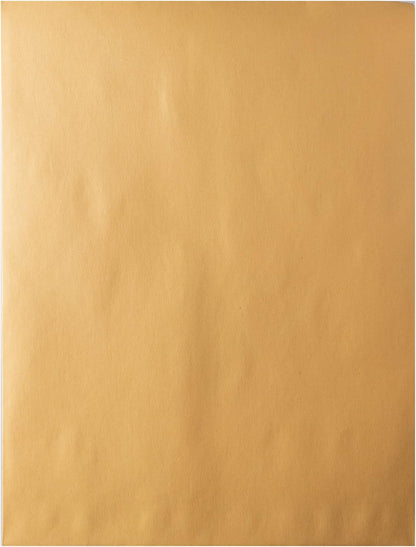 Hilroy Kraft-Briefumschläge, 22,9 x 30,5 cm, Press-it Seal-it Verschluss, 25 Stück pro Packung (76044)