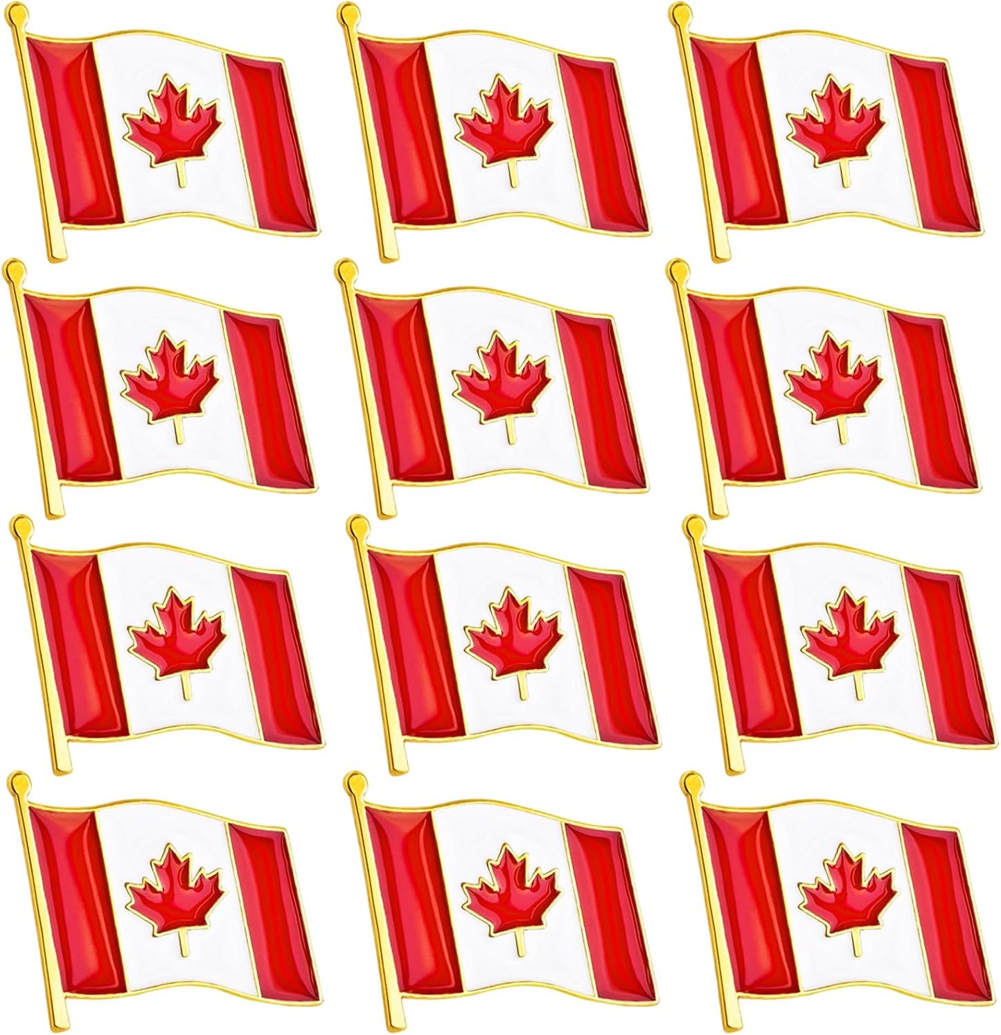 12 Flag Pins