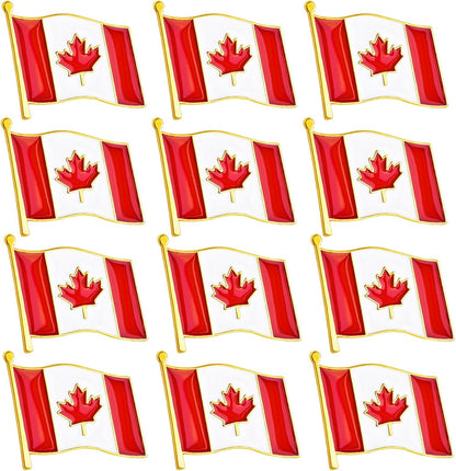12 Flag Pins