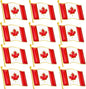 12 Flag Pins
