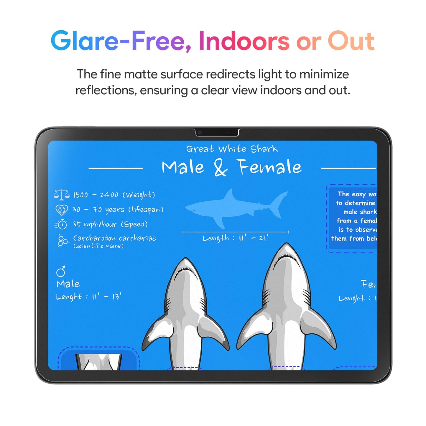 KCT 2 Pack Paperfeel Glass Screen Protector Compatible with iPad Air 13 Inch M4/M3/M2 (2026/2025/2024), Matte Surface, Tempered Glass with Bubble-Free Installation Tray