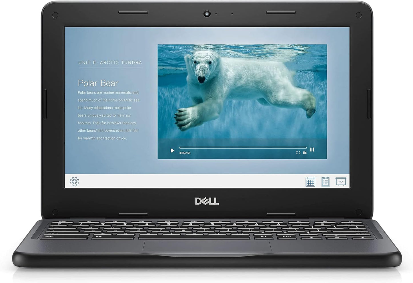 Dell Chromebook 11 3100 Review: A Reliable and Affordable Laptop