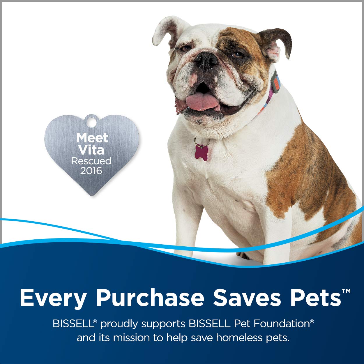 BISSELL Spotclean Professional Portable Carpet And Upholstery Deep Cleaner With Full-Sized 5.9 Amp, 5Ft Hose With 3" Tough Stain Brush, 3-In-1 Stair And Hydro-Rinse Self-Cleaning Tools, 2891B