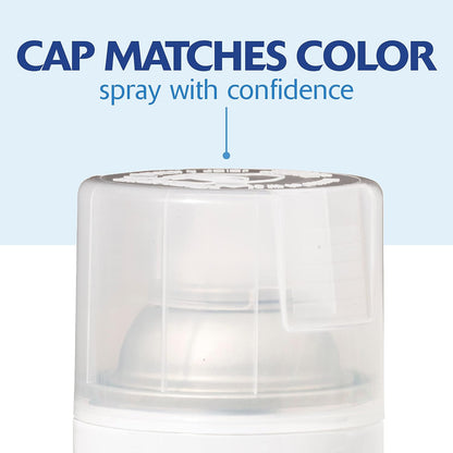 Rust-Oleum 334029 Painter's Touch 2X Ultra Cover Spray Paint Review