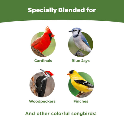 Kaytee Ultimate Birder's Blend Food: A Haven for Songbirds