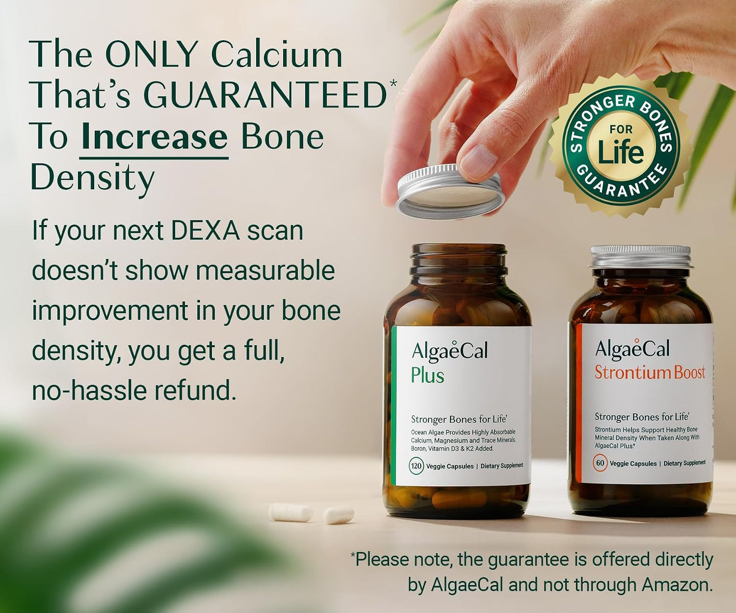 ALGAECAL Powerhouse Bundle - D3 Complete (1000 IU) + K2, Vitamin E, Vitamin A & Bone Builder Pack for Increased Bone Density & Omega 3 Fish Oil 1200mg EPA DHA & Osteoporosis Book