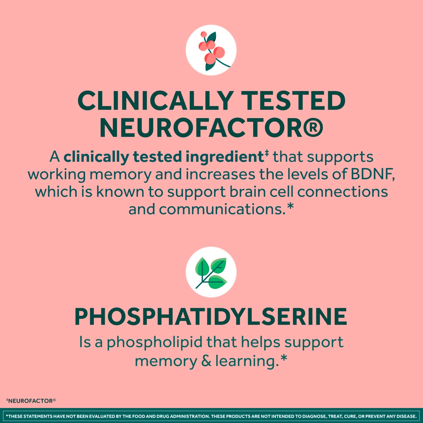 NEURIVA Plus Brain Supplements for Memory and Focus, Clinically Tested Nootropics Neurofactor and Phosphatidylserine with Vitamin B12, Vitamin B6, 50 Count Strawberry Gummies (Pack of 12)