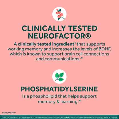 NEURIVA Plus Brain Supplements for Memory and Focus, Clinically Tested Nootropics Neurofactor and Phosphatidylserine with Vitamin B12, Vitamin B6, 50 Count Strawberry Gummies (Pack of 12)