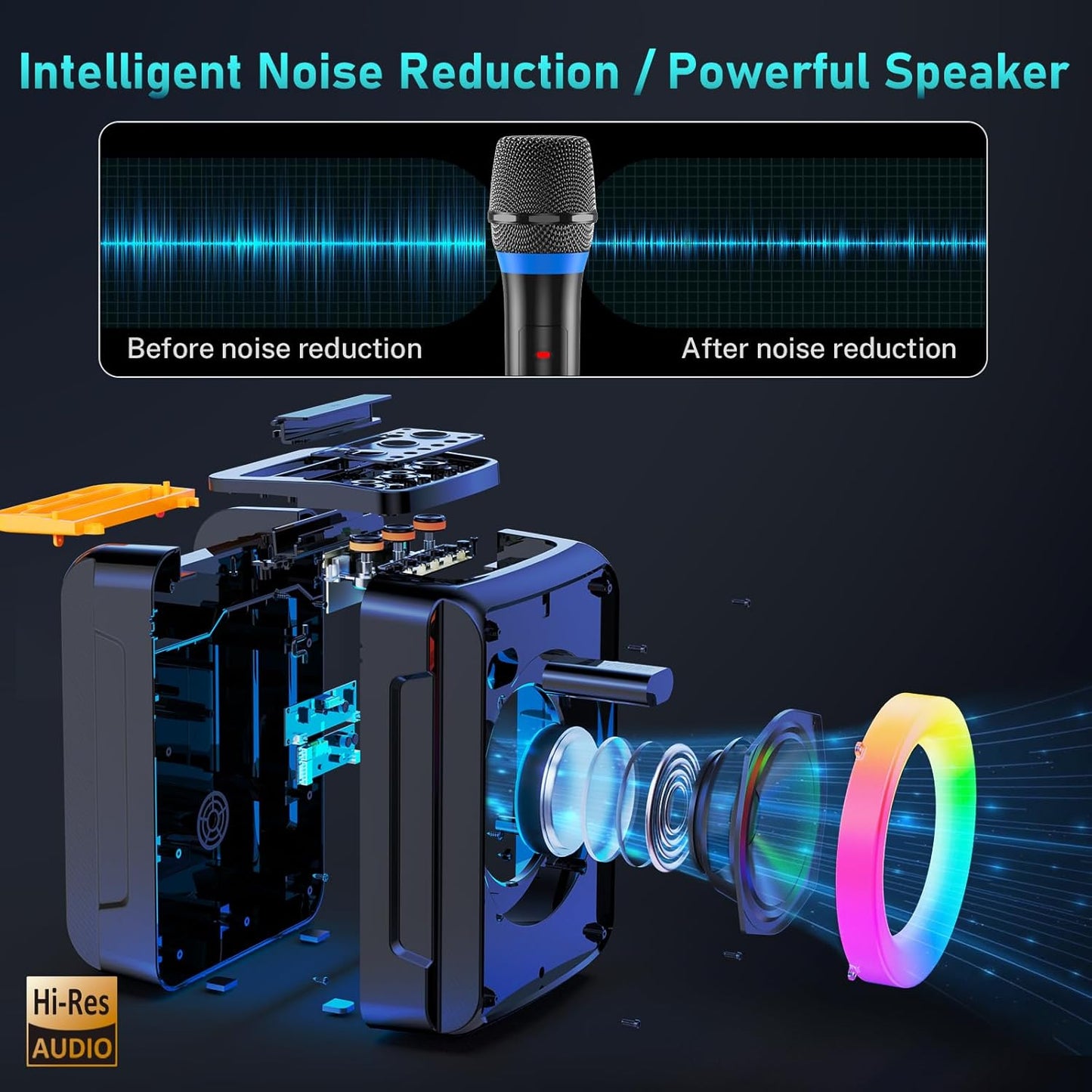 HWWR Karaoke Machine with 2 Microphones