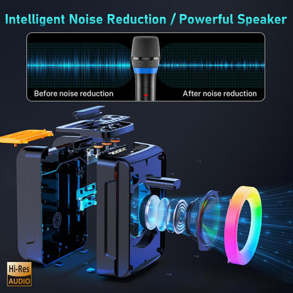 HWWR Karaoke Machine with 2 Microphones