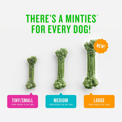 Minties Dental Chews for Dogs: A Vet-Recommended Solution for Healthy Teeth