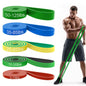 Pull Up Bands, Resistance Bands Set, Exercise Workout Bands for Men & Women, Ideal for Body Stretching, Physical Therapy and Muscle Training