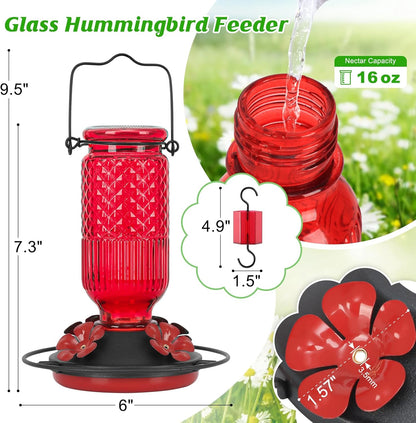 FEED GARDEN Glass Hummingbird Feeder: A Sweet Addition to Your Outdoor Space