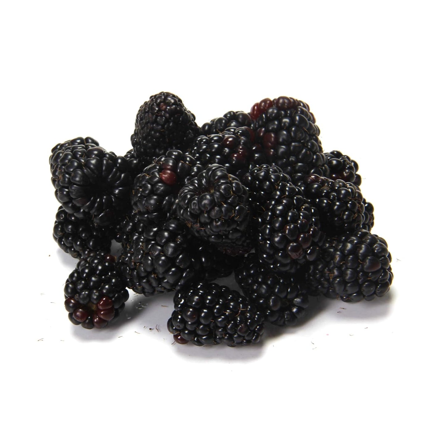 Fresh Blackberries for Snacking and More