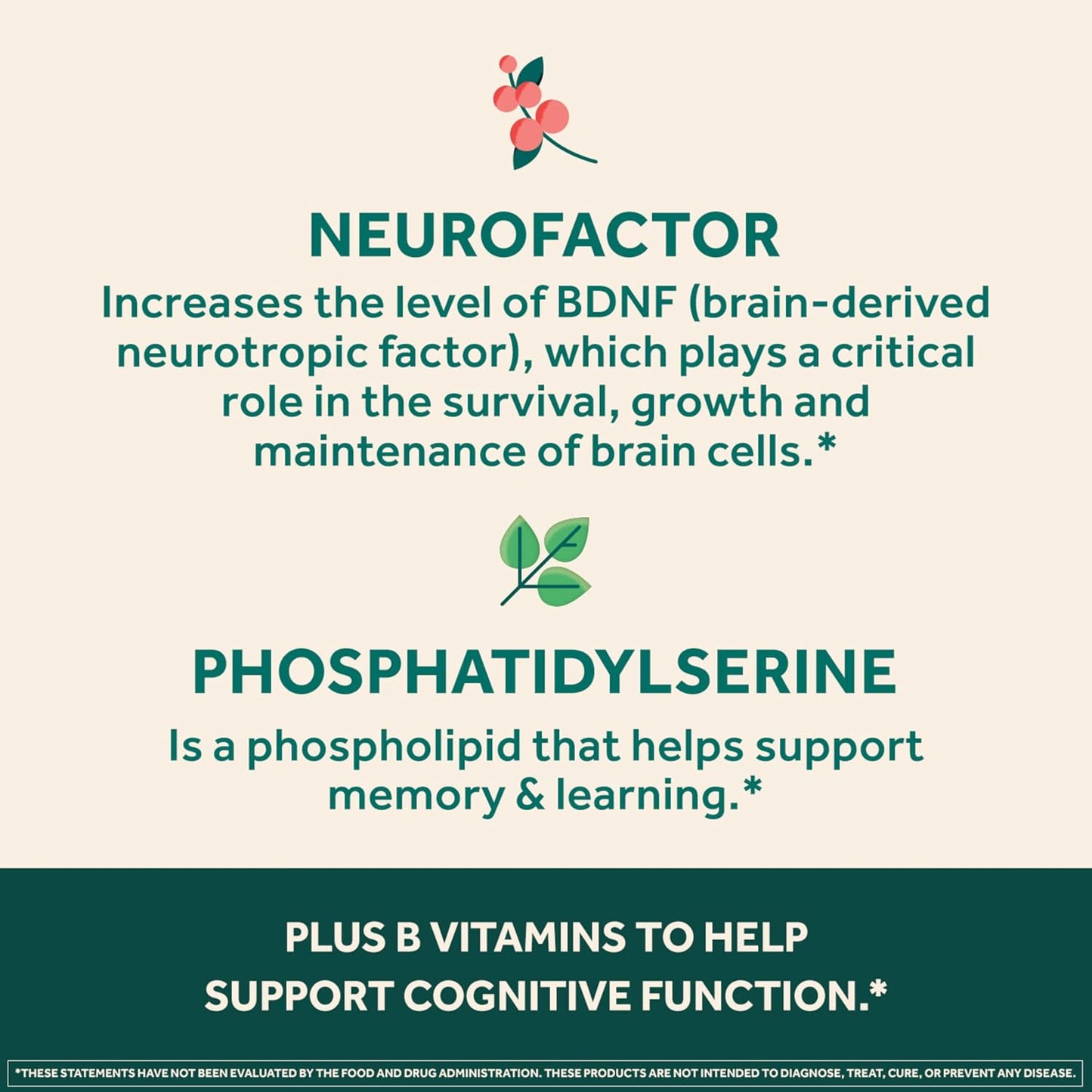NEURIVA Ultra Brain Supplements for Memory and Focus, Phosphatidylserine, Cognivive, Neurofactor, Folic Acid, Vitamin B12 & Vitamin B6, 60 Count Capsules (Pack of 12)