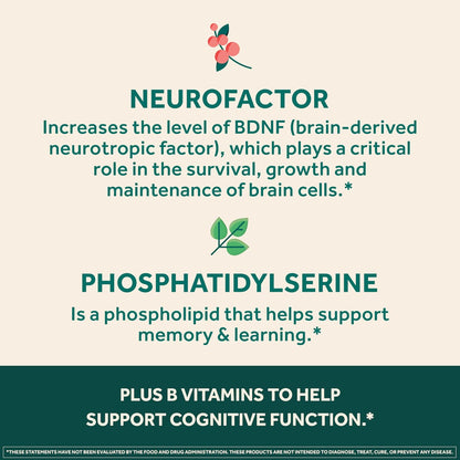 NEURIVA Ultra Brain Supplements for Memory and Focus, Phosphatidylserine, Cognivive, Neurofactor, Folic Acid, Vitamin B12 & Vitamin B6, 60 Count Capsules (Pack of 12)