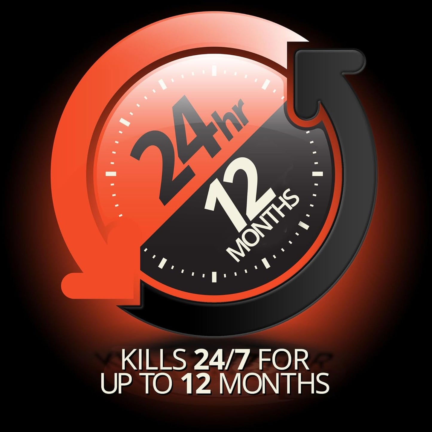 Combat Max Roach Killer: A Game-Changer for a Roach-Free Home