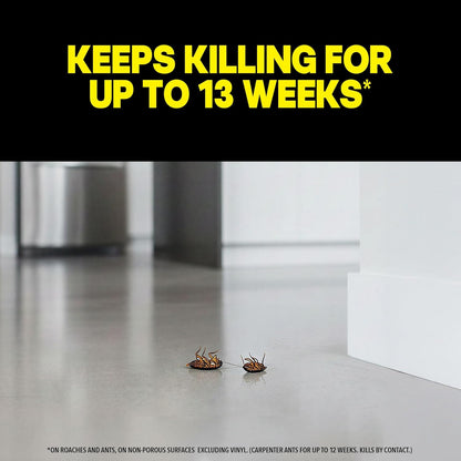 Raid Ant & Roach Killer: Effective Bug Control for Your Home