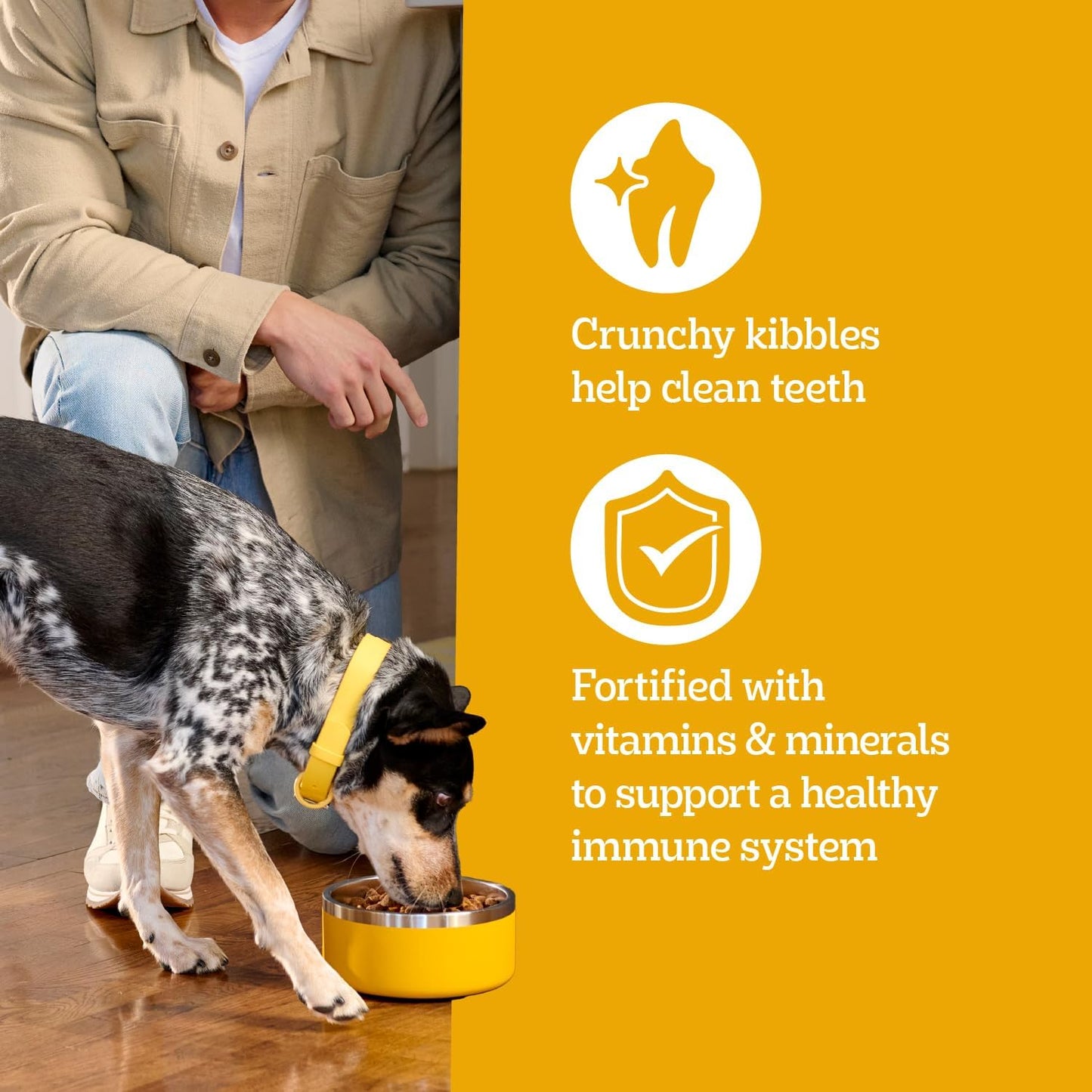 Pedigree Adult Dry Dog Food Review: A Balanced Choice for Your Furry Friend