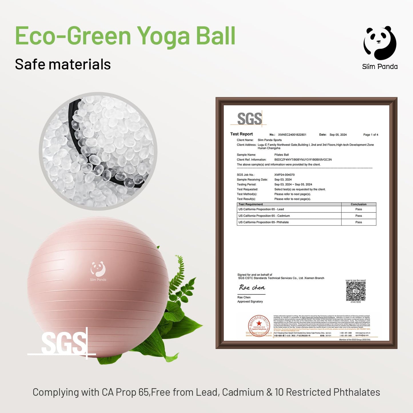 Slim Panda Gymnastikball für Fitness, Balance, Physiotherapie, rutschfester Geburtsball für Schwangerschaft, aufblasbarer Stabilitätsball mit Anleitung für Büro, Fitnessstudio