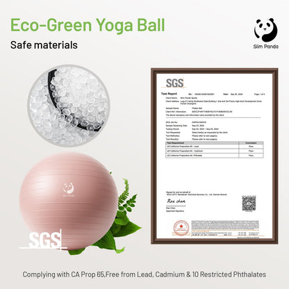 Slim Panda Gymnastikball für Fitness, Balance, Physiotherapie, rutschfester Geburtsball für Schwangerschaft, aufblasbarer Stabilitätsball mit Anleitung für Büro, Fitnessstudio