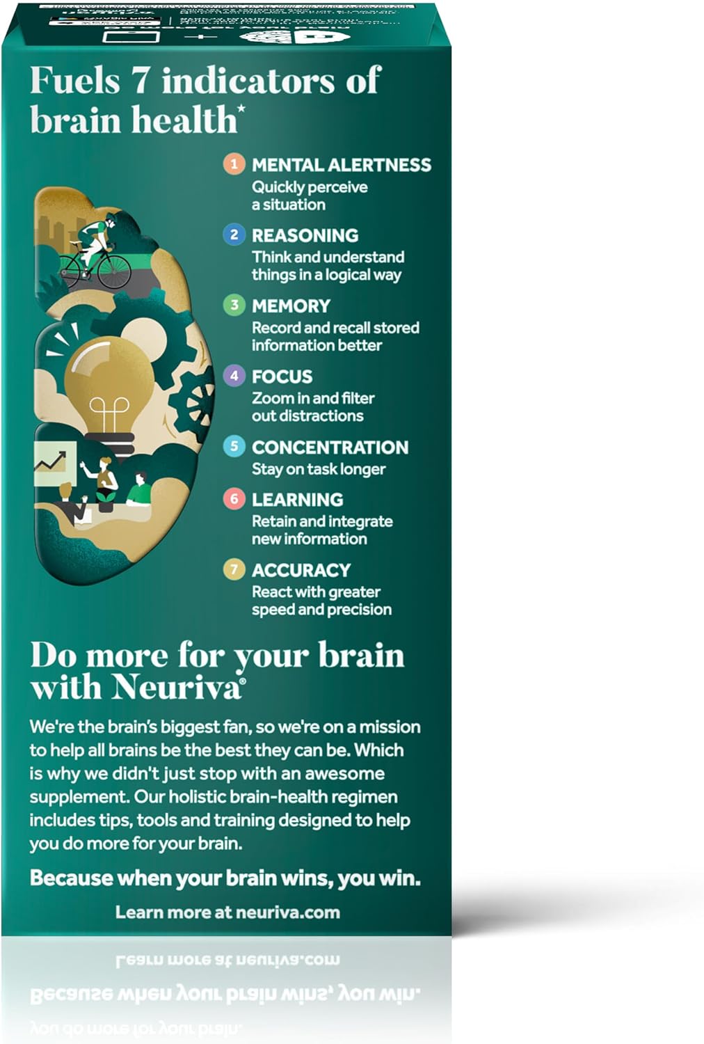 NEURIVA Ultra Brain Supplements for Memory and Focus, Phosphatidylserine, Cognivive, Neurofactor, Folic Acid, Vitamin B12 & Vitamin B6, 60 Count Capsules (Pack of 12)
