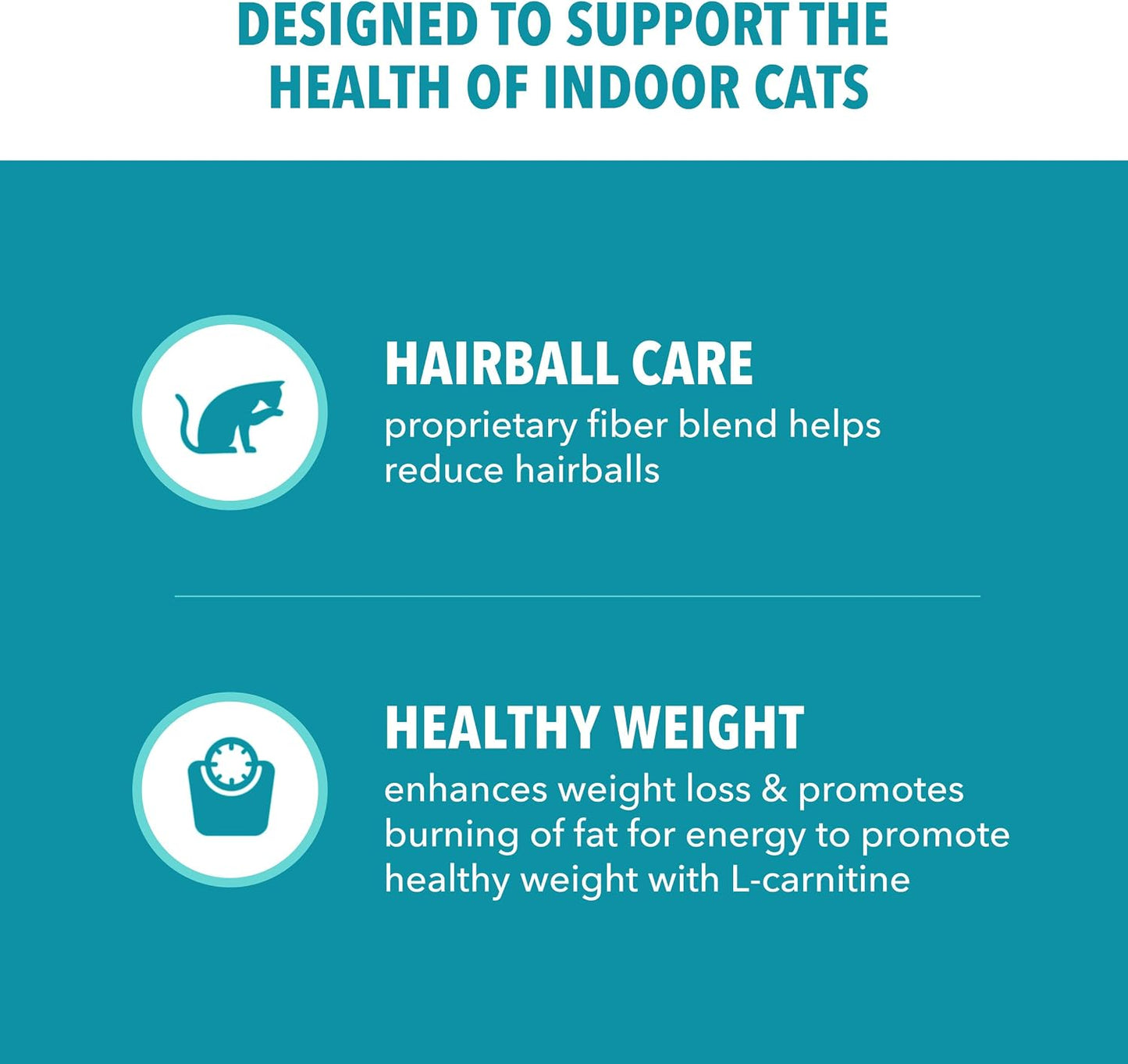 IAMS Proactive Health Dry Cat Food Review: A Holistic Approach to Feline Health