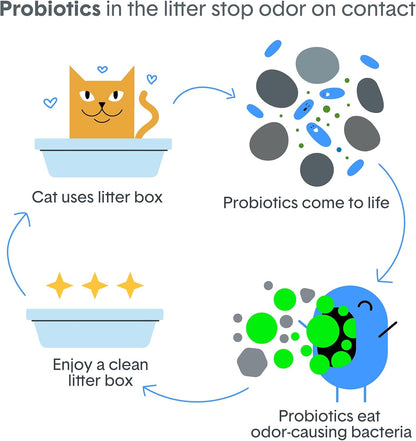 Boxie Probiotic Cat Litter: A Game-Changer for Odor Control and Easy Cleaning
