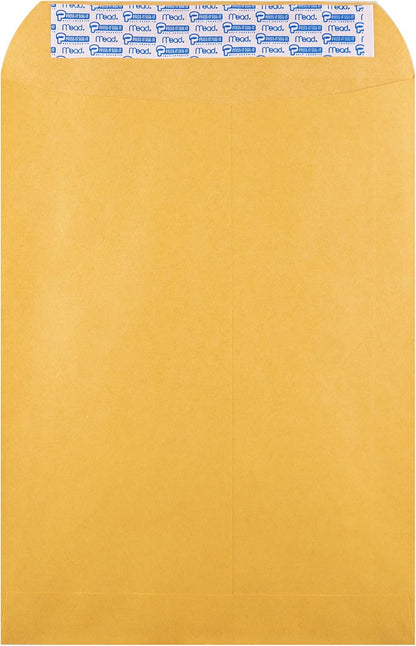 Hilroy Kraft-Briefumschläge, 22,9 x 30,5 cm, Press-it Seal-it Verschluss, 25 Stück pro Packung (76044)