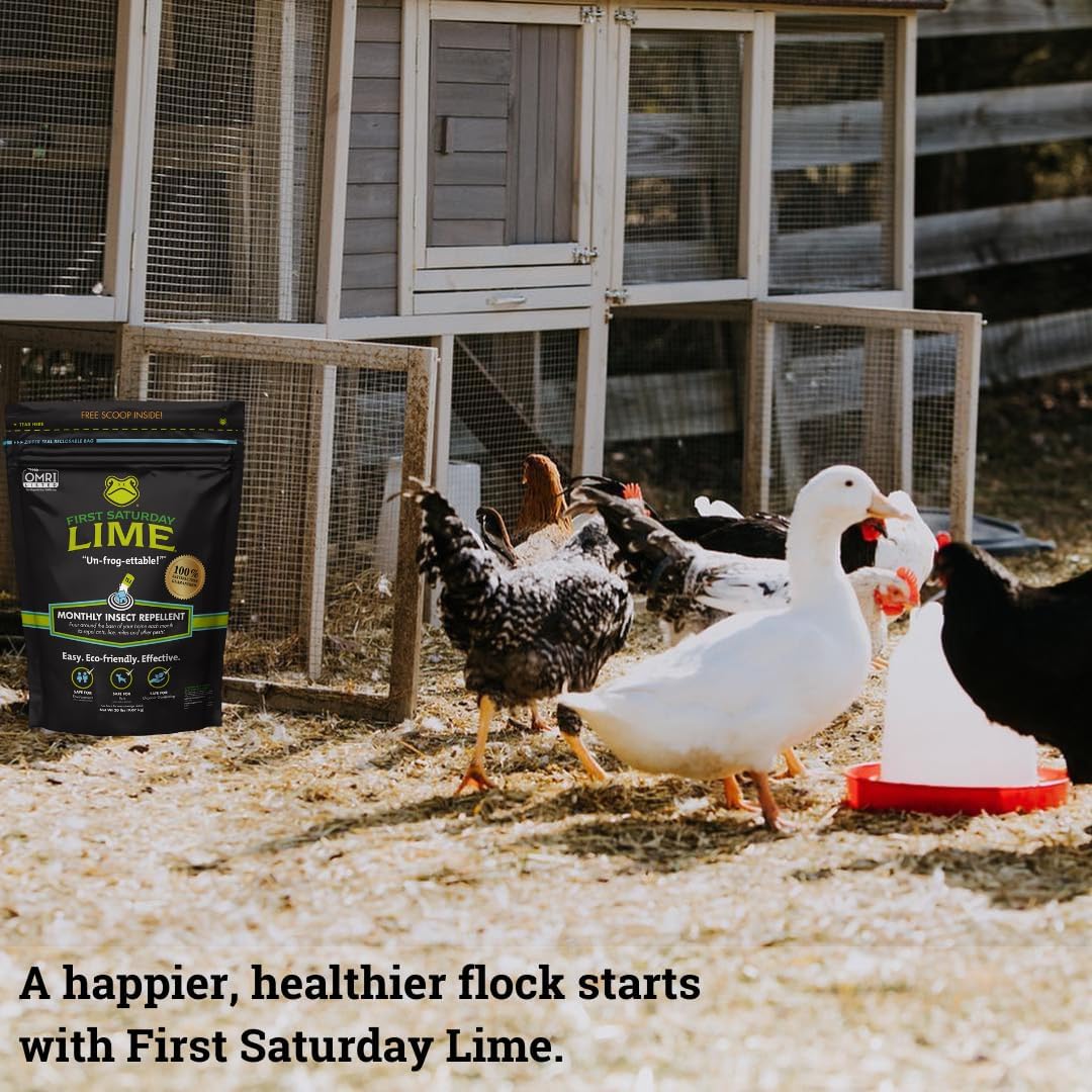 First Saturday Lime Insect Deterrent: A Game-Changer for Your Outdoor Space