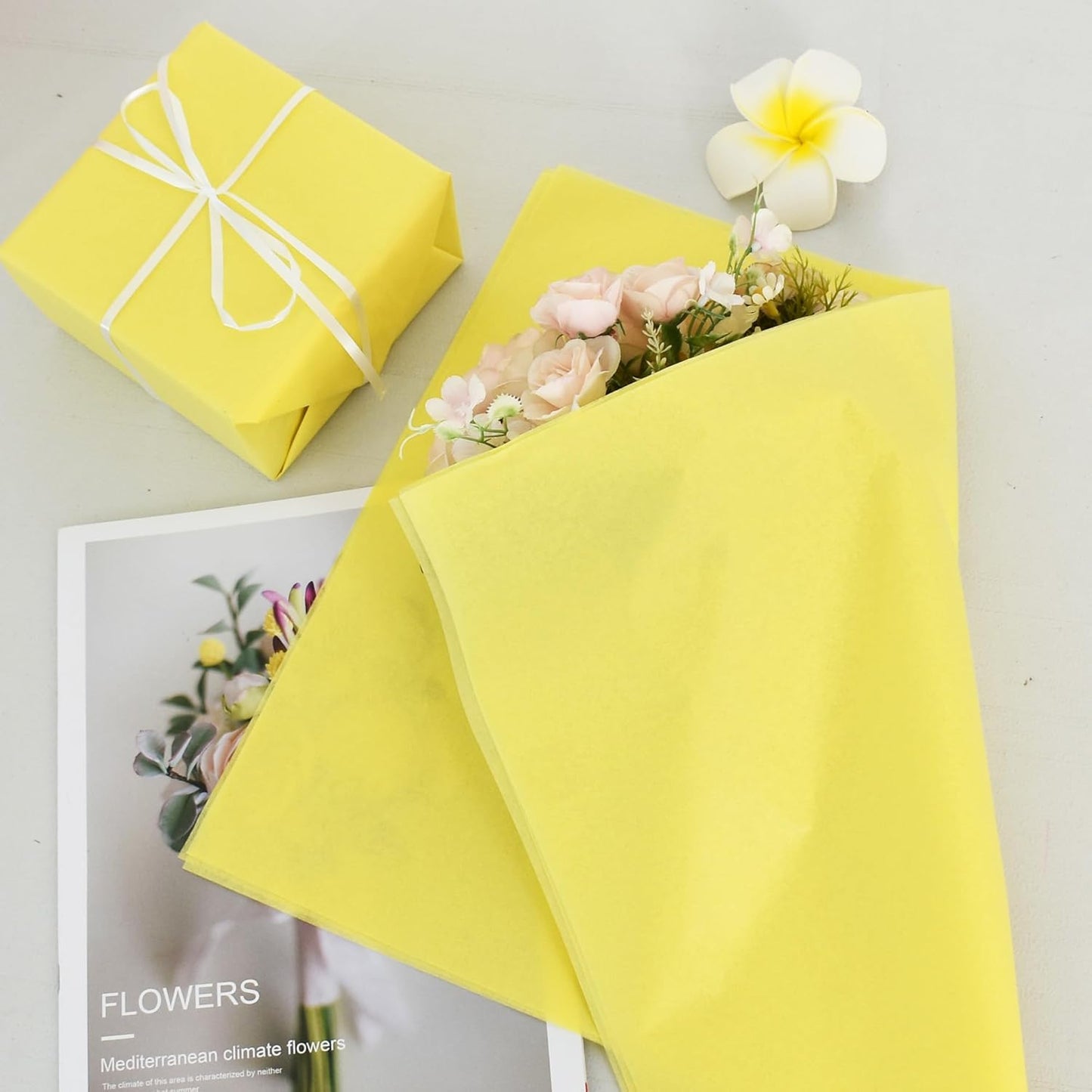 100 Blatt Seidenpapier Salbeigrün 35x50cm Geschenkpapier Seidenpapier Großpackung für DIY-Projekte Geschenktüten Geschenkverpackungen Hochzeiten Valentinstag Ostern Weihnachten und Geburtstagsfeiern Basteln