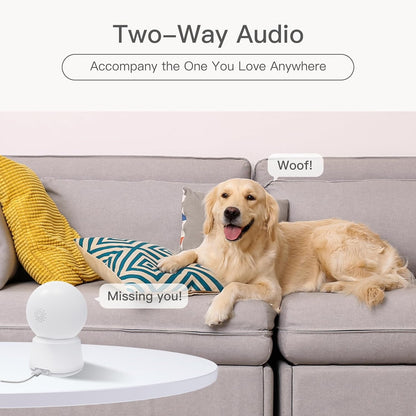 Keep an Eye on Your Home and Pets with the LAXIHUB P2T 360° View Pet Camera