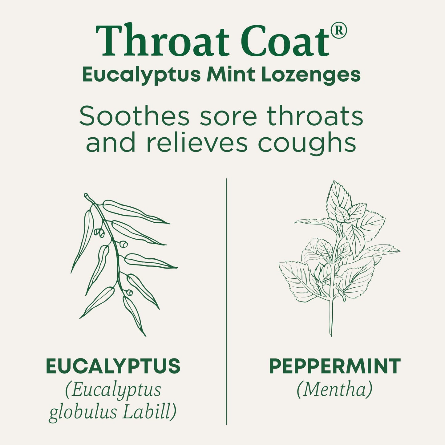 Traditional Medicinals Organic, Throat Coat Lozenges, Lemon Ginger Echinacea - Herbal Cough Drops, Helps Soothe Sore Throat - Non-GMO, Stimulant-Free - 16 Count (Pack of 12)