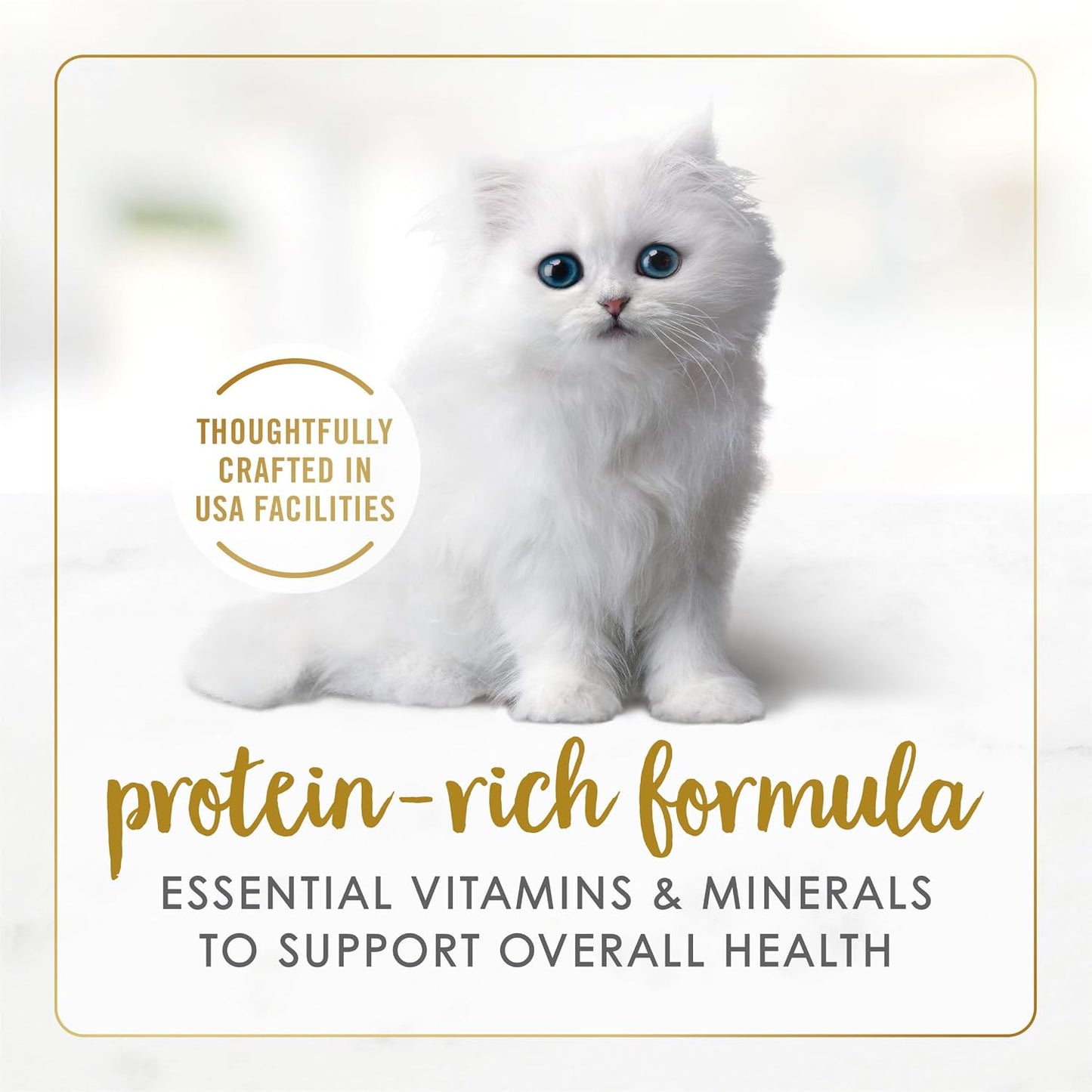 Purina Fancy Feast Kitten Food - A Delicious and Nutritious Choice