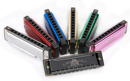 JDR Mundharmonika C, Blues-Mundharmonika in C, 10-Loch, 20 Töne mit Etui, Standard diatonisch für Anfänger, Erwachsene, Profis, Lehrer, Eltern, Schüler, Schwarz, Neujahrsgeschenk
