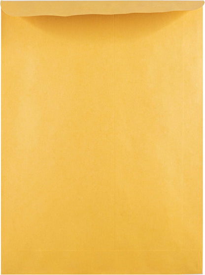 Hilroy Kraft-Briefumschläge, 22,9 x 30,5 cm, Press-it Seal-it Verschluss, 25 Stück pro Packung (76044)