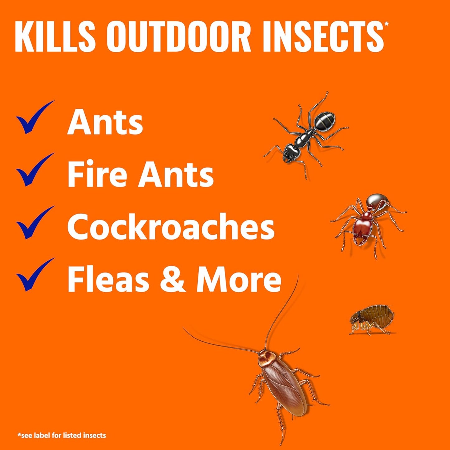 TERRO Ant Killer Plus: A Game-Changer for Outdoor Insect Control