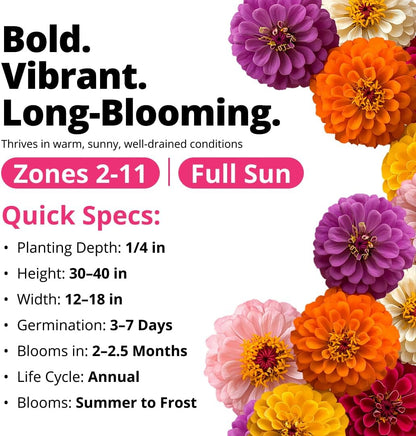 Brighten Up Your Garden with HOME GROWN Zinnia Dahlia Seeds