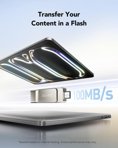 Lexar D40E 128GB Dual USB 3.2 Gen 1 Type-C Jump Drive, USB-C Flash Laufwerk Metallgehäuse Drehdesign (Champagne Silber)