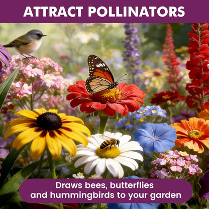 Wildblumensamen Großpackung 10000+, 30g Schmetterling-Kolibri-Mischung, 21 Sorten mehrjährige und einjährige Mischung, Non-GMO alte Blumensamen zum Pflanzen für draußen und drinnen, hohe Keimrate Gartensamen