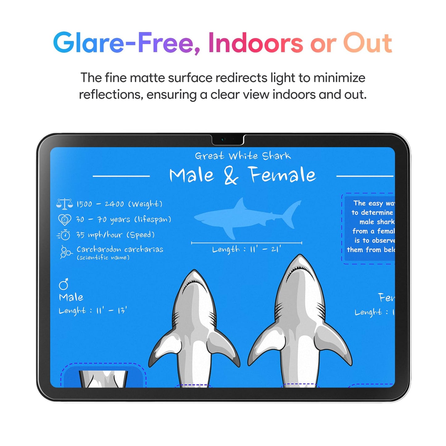 KCT 2 Pack Paperfeel Glass Screen Protector Compatible with iPad Air 13 Inch M4/M3/M2 (2026/2025/2024), Matte Surface, Tempered Glass with Bubble-Free Installation Tray