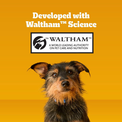 Pedigree Dentastix Large Dog Treats: A Game-Changer for Your Furry Friend's Dental Health