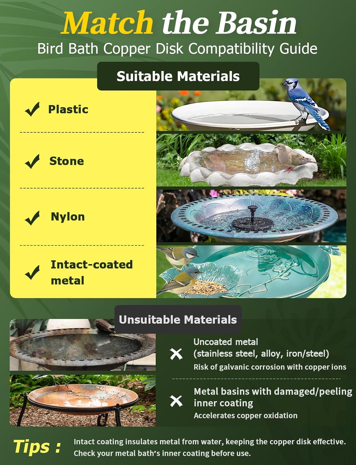 Mellbree Bird Bath Copper Disc: A Game-Changer for Clean Water