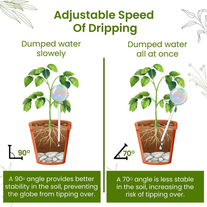 Iridescent Self Watering Globes: A Game-Changer for Indoor Plant Parents