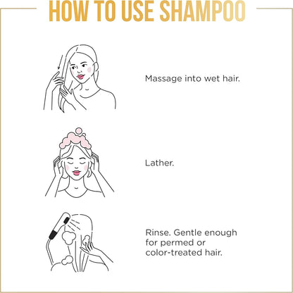 Pantene Sheer Volume 72 HR Fülle Shampoo, 355 ml