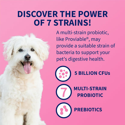 Nutramax Proviable Probiotics for Dogs and Cats: A Digestive Health Game-Changer