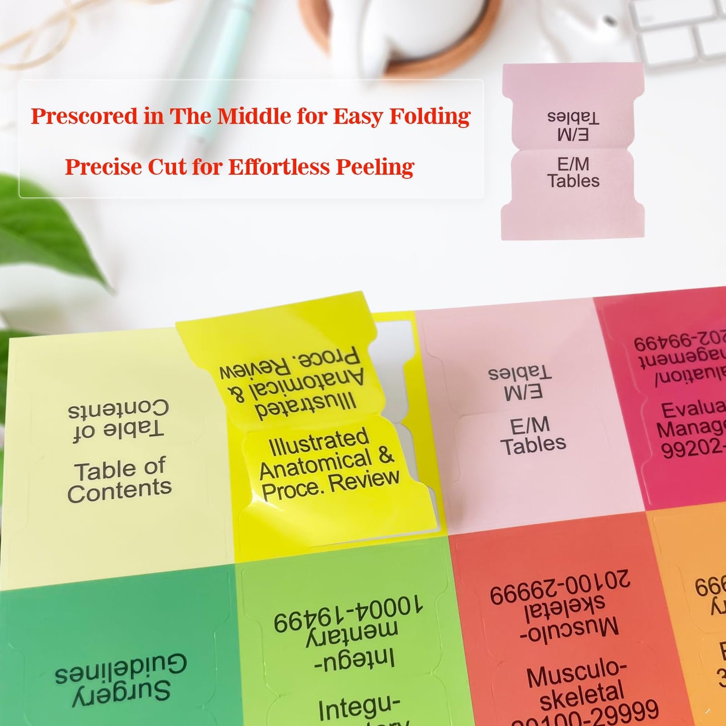 Index Tabs for CPT, AAPC Version ICD-10-CM, HCPCS Level II & ICD-10-PCS 2026, 4 Set Bundles Set (Book not Included), Color-Coded with Code Ranges, Laminated & Waterproof & Repositionable