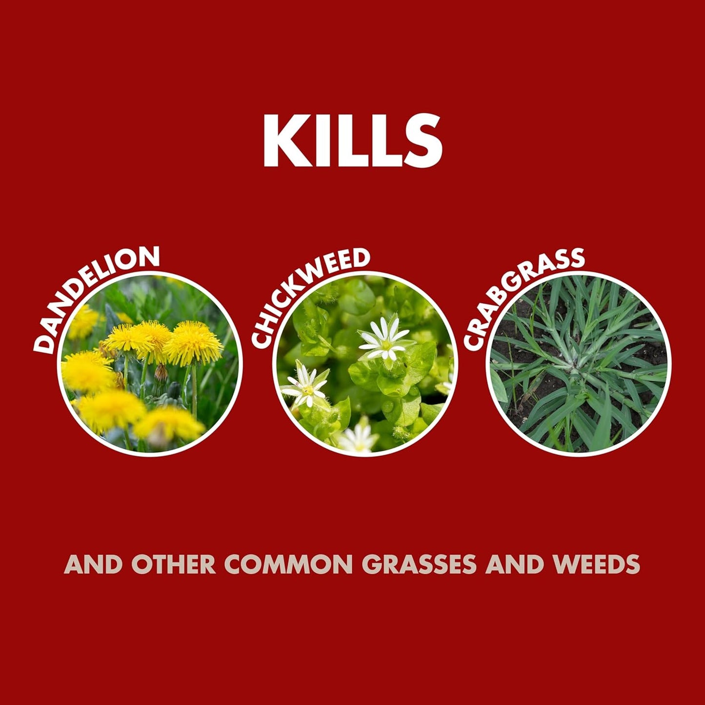 Spectracide Weed & Grass Killer Review: A Game-Changer for Your Yard