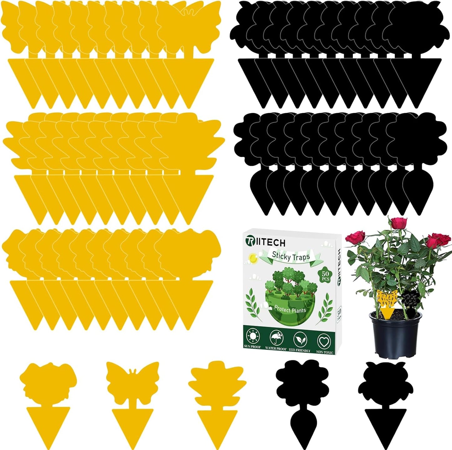 Yellow/Black